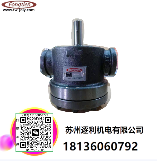 FONGTIEN豐田DVM-3V豊田DVM-2V DVM-1V DVM-4V DVM-5V葉片泵